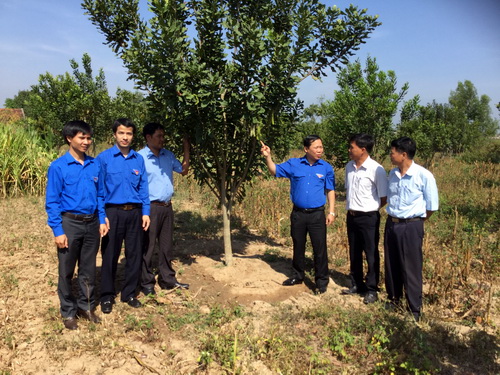 Đồng chí Nguyễn Phi Long đi khảo sát mô hình trồng cây Mắc-ca tại xã Vụ Bổn, huyện Krông Pắc